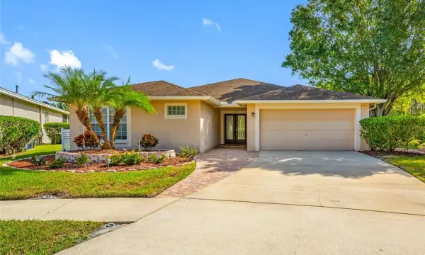 19145 Golden Cacoon Place, Lutz, FL, 33558