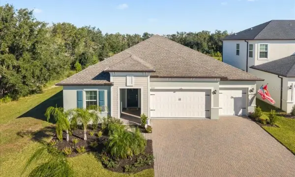 12421 Bergstrom Bay Drive, Riverview, FL, 33579