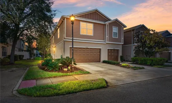 8718 Turnstone Haven Place, Tampa, FL, 33619