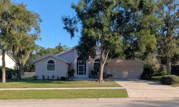 10120 Sedgebrook Drive, Riverview, FL, 33569