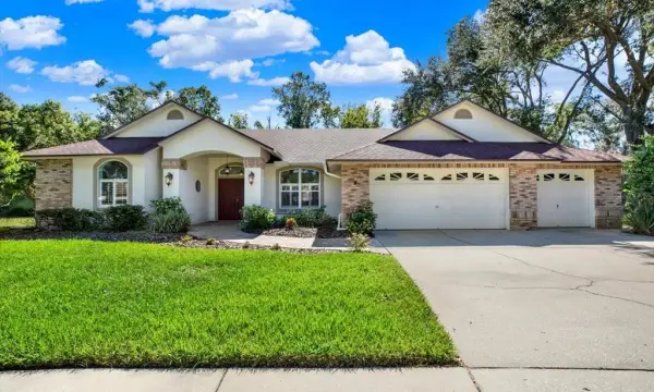 507 Surrey Lane, Lutz, FL, 33549