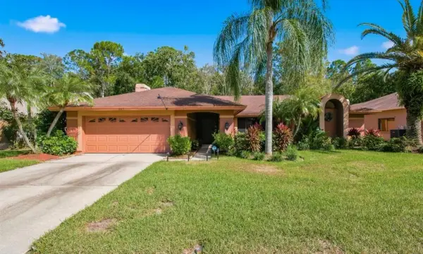 537 Centerwood Drive, Tarpon Springs, FL, 34688