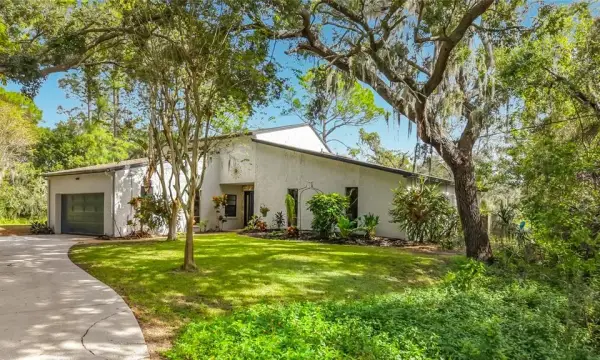 12805 Twin Branch Acres Rd, Tampa, FL, 33626