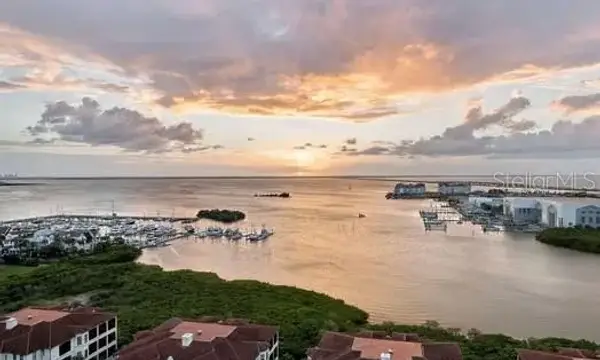 5713 Bowen Daniel Drive, Unit 903, Tampa, FL, 33616