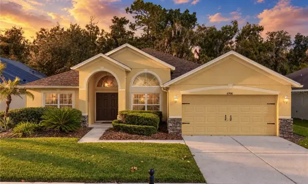 6908 Pine Springs Drive, Wesley Chapel, FL, 33545