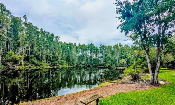 12155 Environmental Drive, Unit 6, New Port Richey, FL, 34654