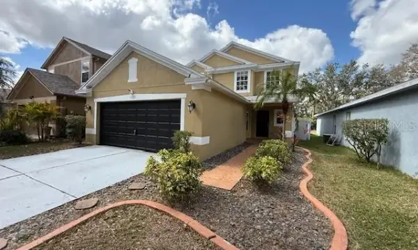 11722 Crest Creek Drive, Riverview, FL, 33569