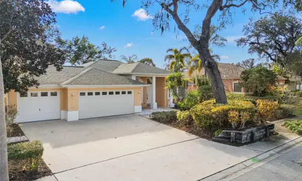 958 Ridgewood Terrace, Tarpon Springs, FL, 34689
