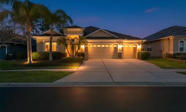 3303 Stonegate Falls Drive, Land O Lakes, FL, 34638