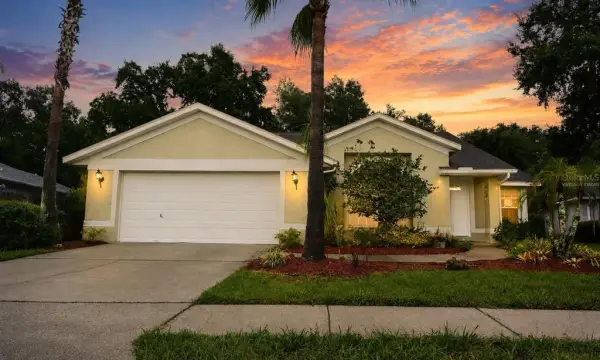 24449 Painter Drive, Land O Lakes, FL, 34639