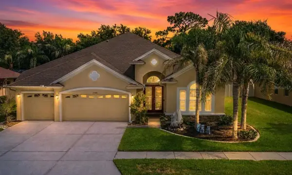 27405 Sora Boulevard, Wesley Chapel, FL, 33544