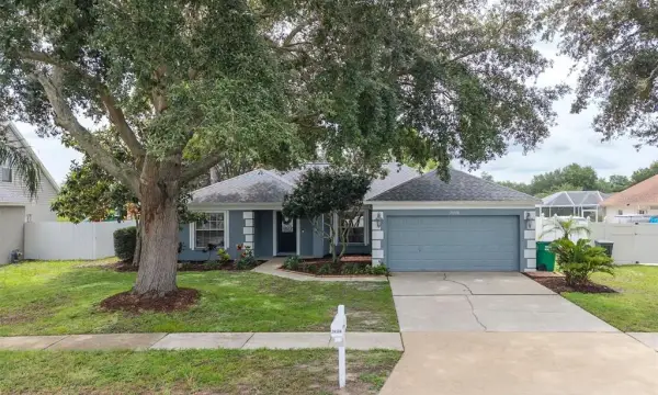24308 Landing Drive, Lutz, FL, 33559