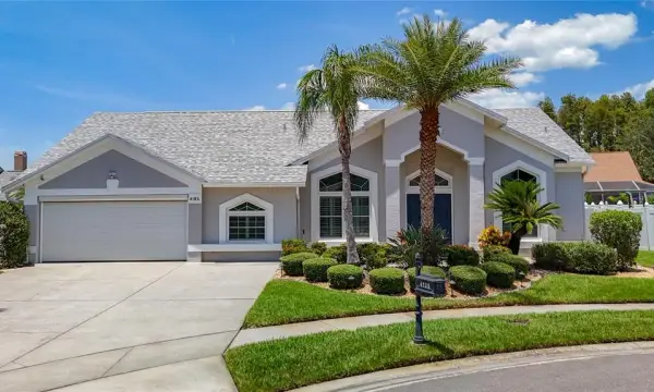 4105 Angel Wing Court, Lutz, FL, 33558