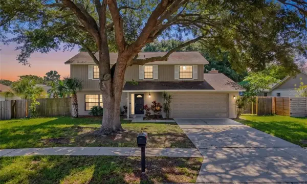 414 Still Meadows Circle E, Palm Harbor, FL, 34683
