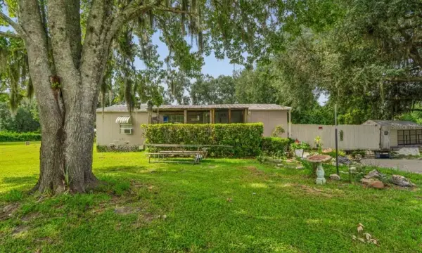30624 Clearview Drive, Wesley Chapel, FL, 33545