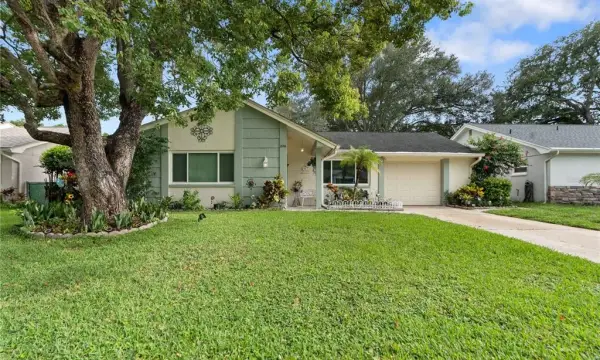 8216 Cavalry Drive, Hudson, FL, 34667