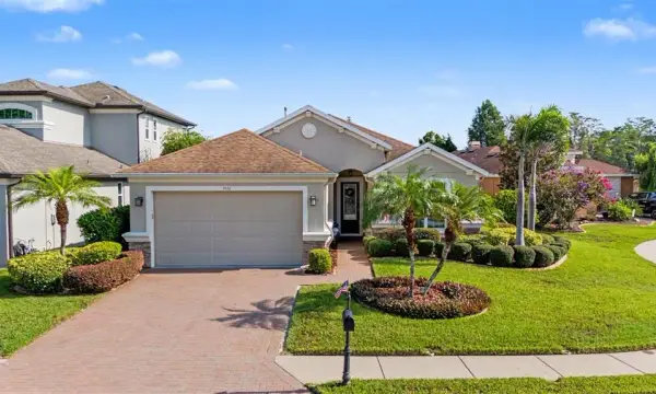 1016 Ketzal Drive, Trinity, FL, 34655