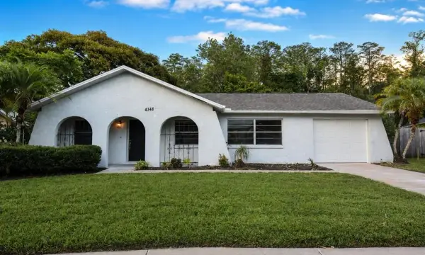 4348 Black Fox Drive, New Port Richey, FL, 34653