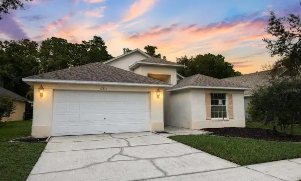 12533 Sparkleberry Road, Tampa, FL, 33626