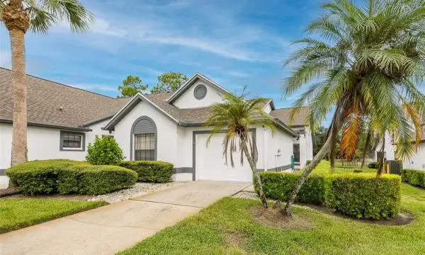 3637 Downfield Place, New Port Richey, FL, 34655