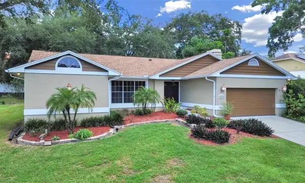 611 Tomoka Drive, Palm Harbor, FL, 34683