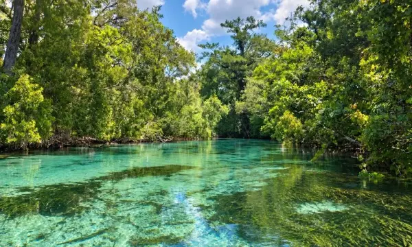 7071 Mertal Street, Weeki Wachee, FL, 34607