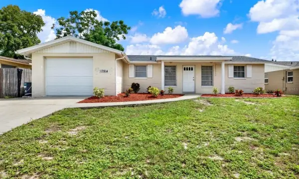 10914 Rexdale Avenue, Port Richey, FL, 34668