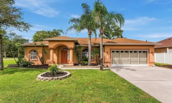 15393 Burbank Drive, Brooksville, FL, 34604
