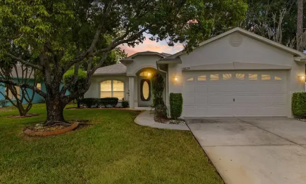 11829 Ivywood Place, New Port Richey, FL, 34654