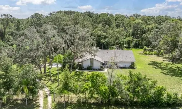 11211 Pine Forest Drive, New Port Richey, FL, 34654