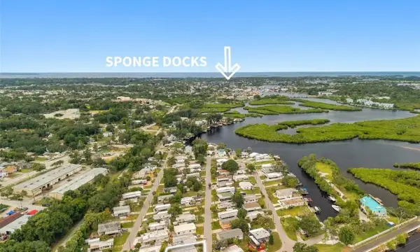 752 Driftwood Lane, Tarpon Springs, FL, 34689