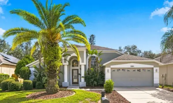 18009 Palm Breeze Drive, Tampa, FL, 33647