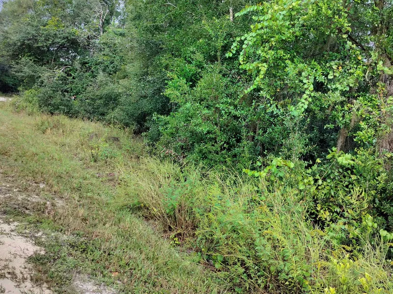 0 Harmony Drive, Ridge Manor, FL, 33523