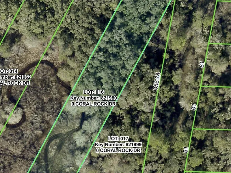 0 Coral Rock Drive, Webster, FL, 33597