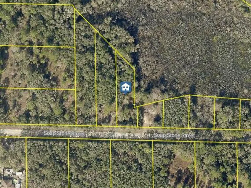 Lot 37 Soap Stone St, Webster, FL, 33597