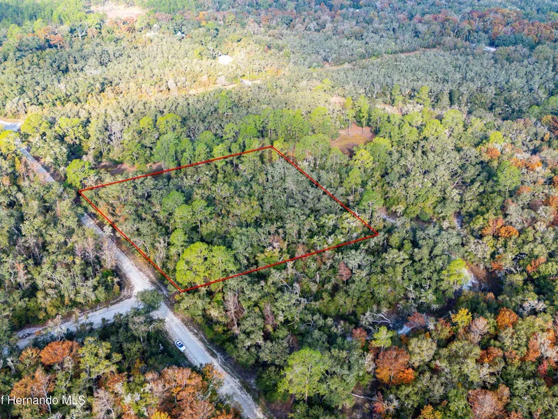 0 Rose Bloom Lot 5 Avenue, Webster, FL, 33597