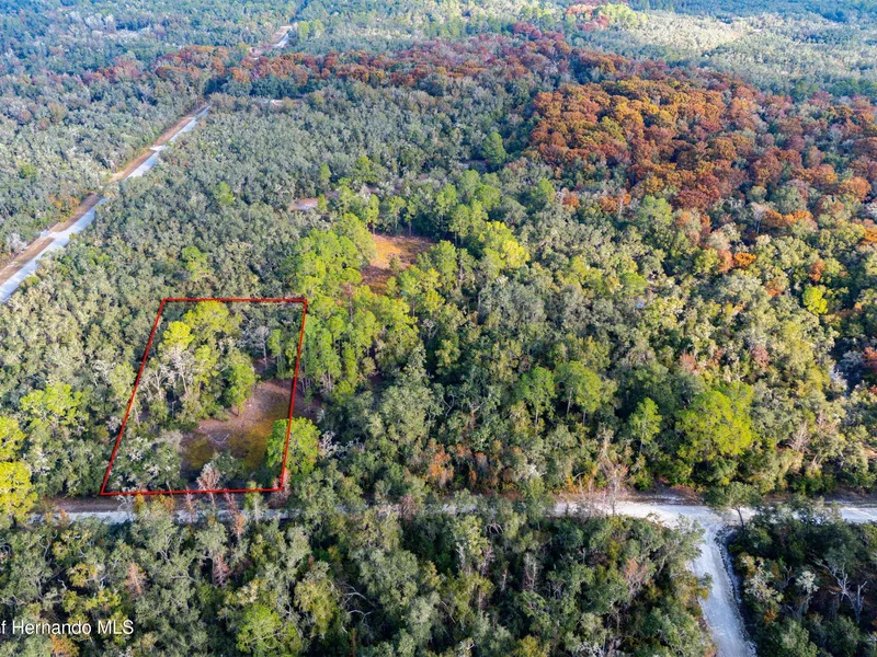 0 Rose Bloom Lot 7 Avenue, Webster, FL, 33597