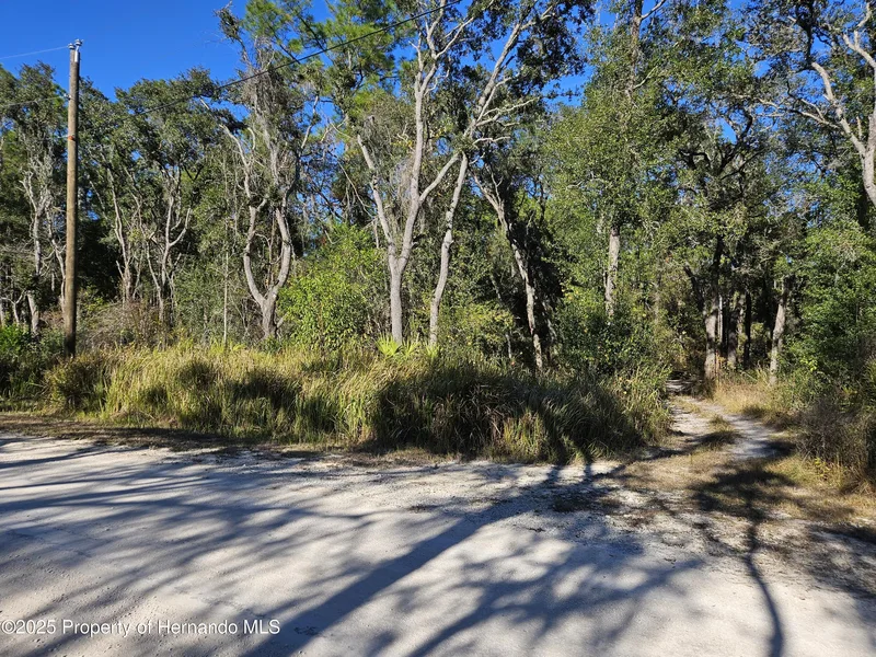 0 Berryhill Drive, Webster, FL, 33597