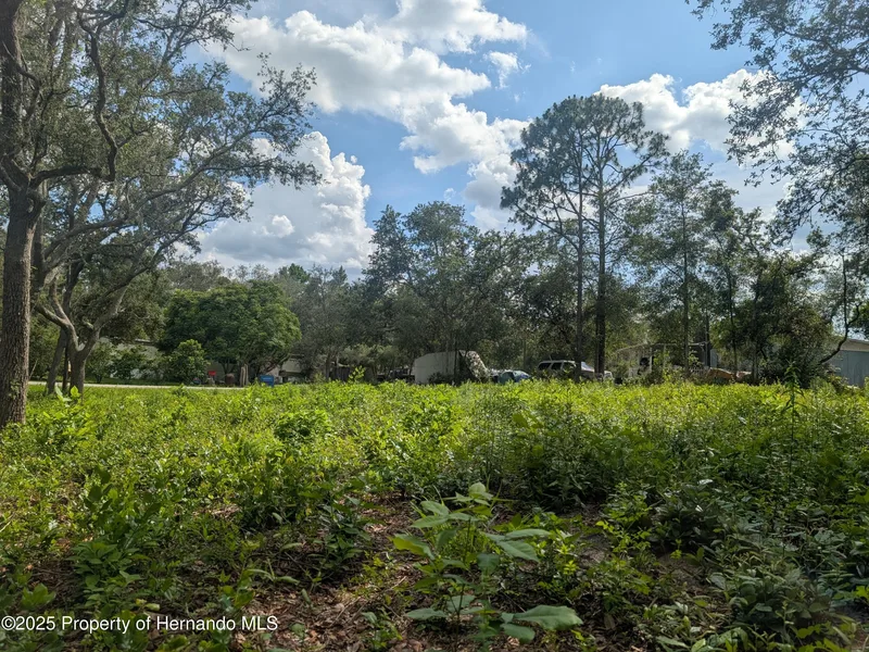 0 Merlin Circle, Ridge Manor, FL, 33523