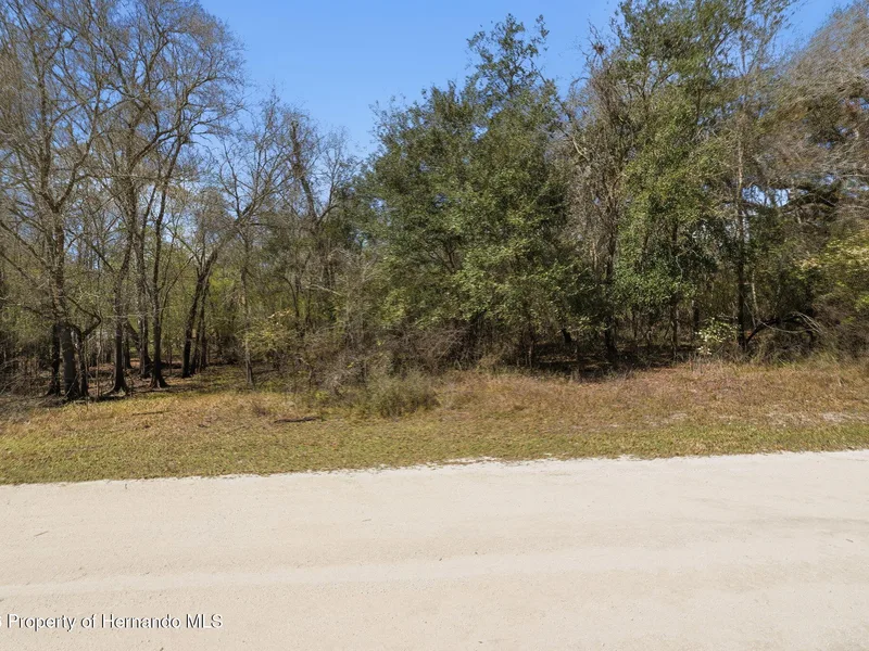 0 Smallman Street, Webster, FL, 33597