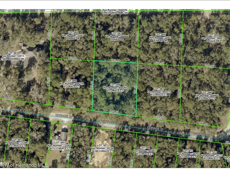 0 Corace Court, Webster, FL, 33597