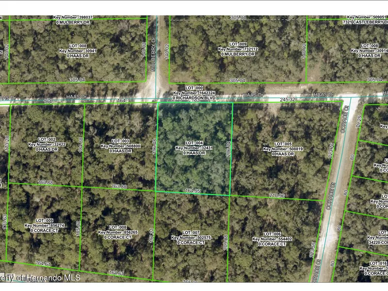 0 Haas Drive, Webster, FL, 33597