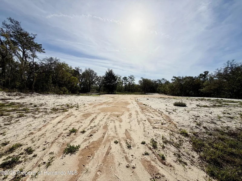 0 Wagers Drive, Webster, FL, 33597