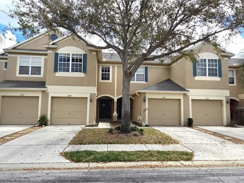 2729 Conch Hollow Drive, Brandon, FL, 33511