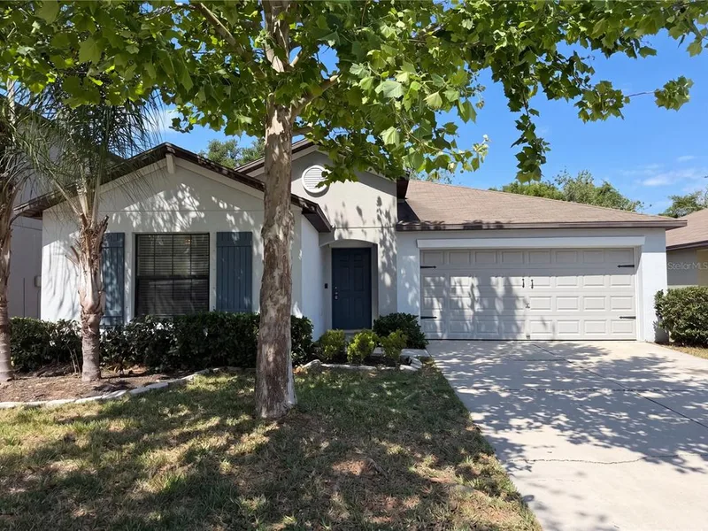 12707 Lemon Pepper Drive, Riverview, FL, 33578