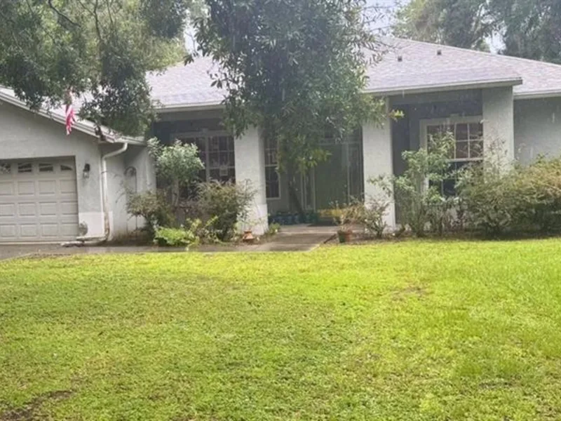 12216 Anne Kenia Drive, Thonotosassa, FL, 33592