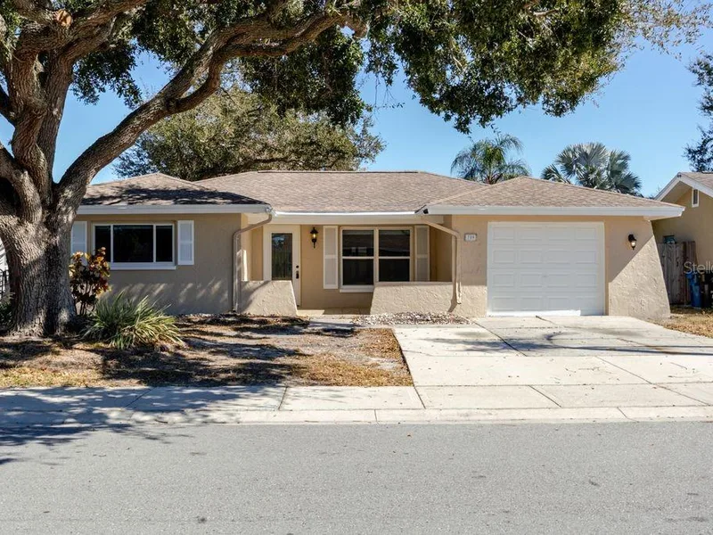 709 Lemonwood Drive, Oldsmar, FL, 34677