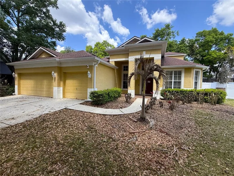 3115 Red Lion Drive, Valrico, FL, 33596