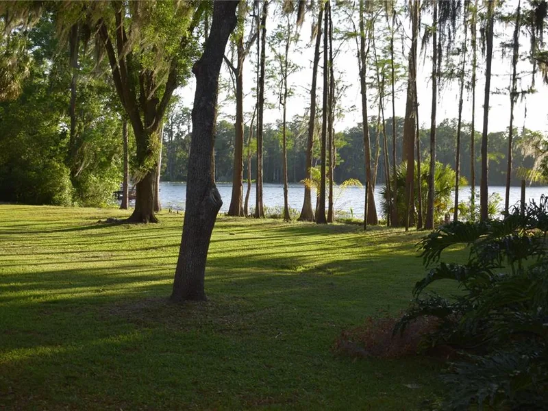 16308 Rock Lake Drive, Odessa, FL, 33556