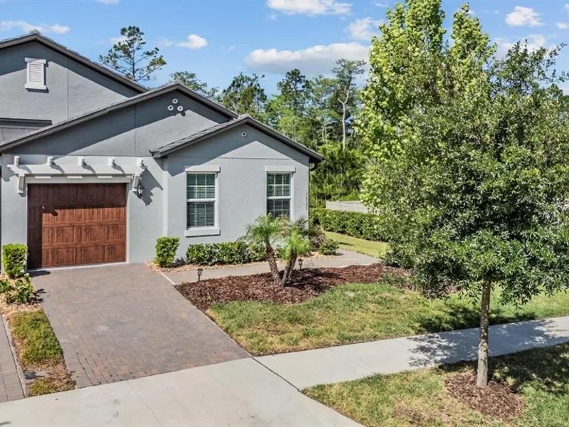 16595 Shell Bay Drive, Land O Lakes, FL, 34638